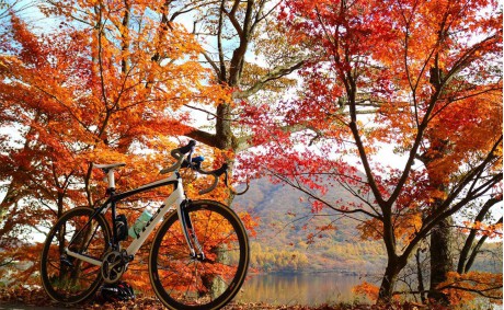 初心者の秋の自転車乗り装備